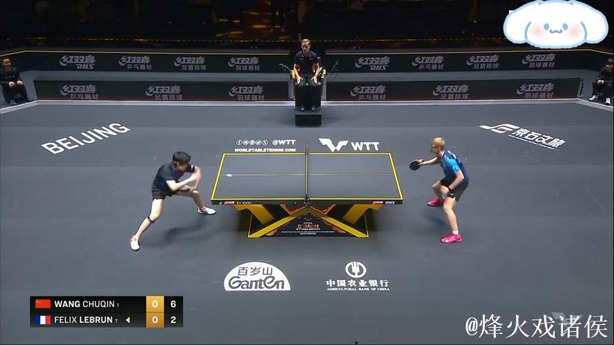 王楚钦打出超级球！与勒布伦对攻14板，全是暴力正手杀，太燃了